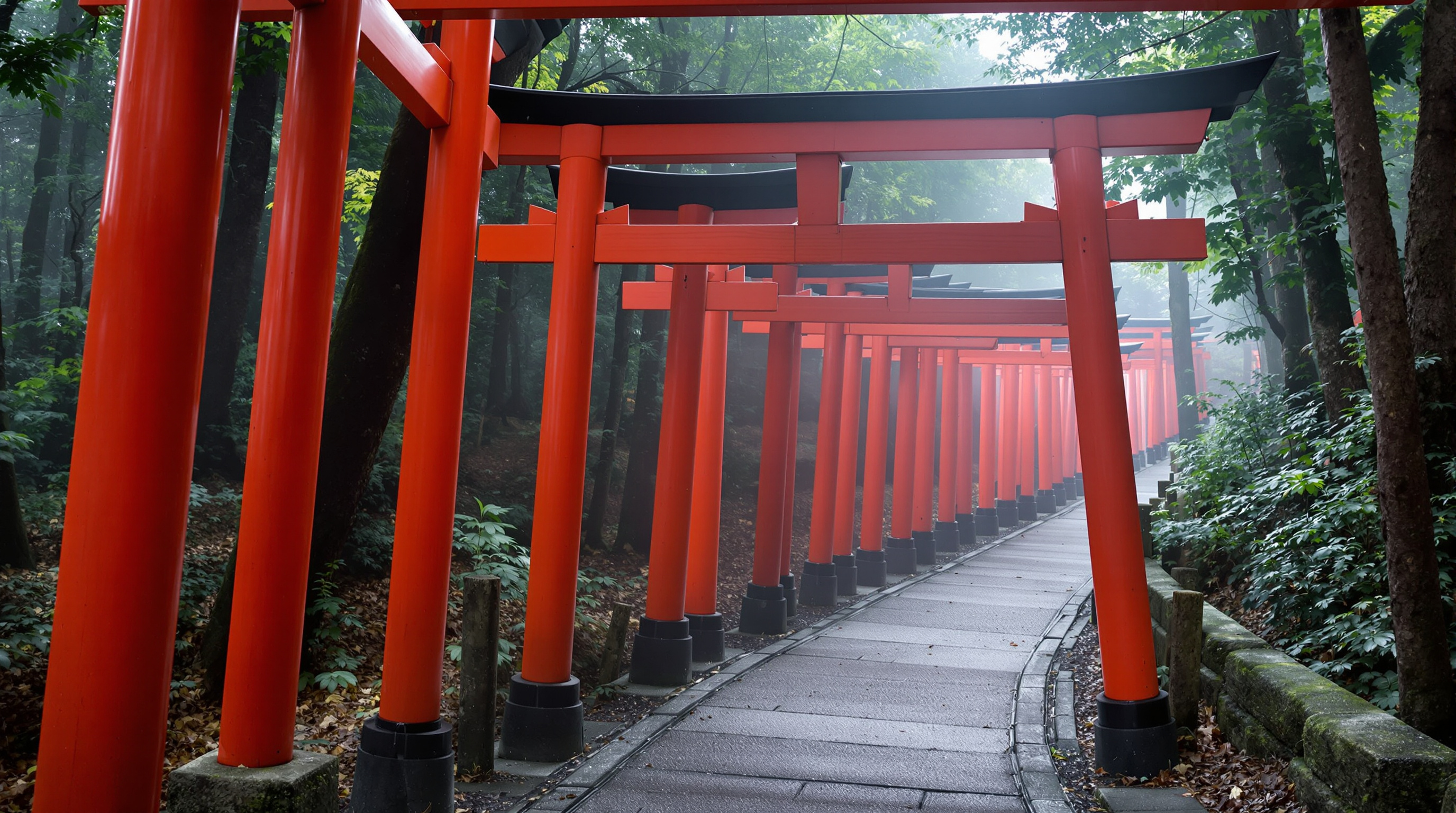 Row of vermilion torii gates winding through forested hillside, Kyoto Japan